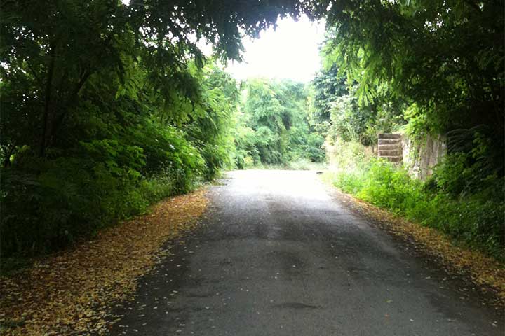 Trabzon Kireçhane Köyü - trabzon_ve_kirechaneden_manzaralar_2.jpg