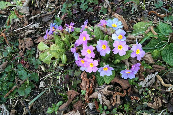 Trabzon Kireçhane Köyü - trabzon_ve_kirechaneden_manzaralar_7.jpg